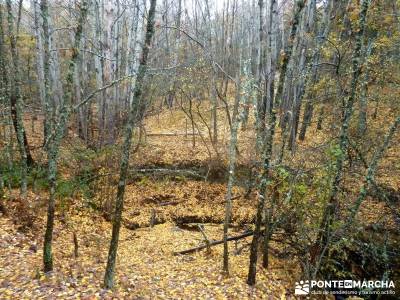 Molino Río Jarama-La Hiruela; barranca dehesas de cercedilla madrid cercedilla